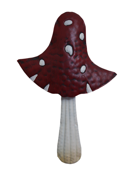 Free Mushroom Toadstool photo and picture