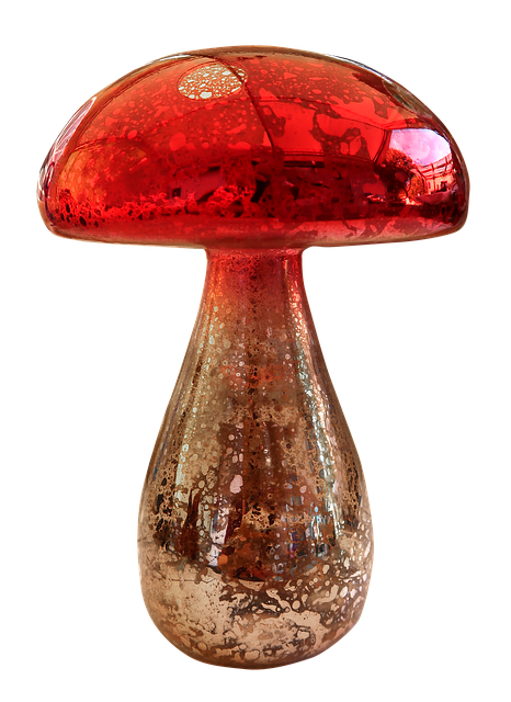 Free Mushroom Toadstool photo and picture