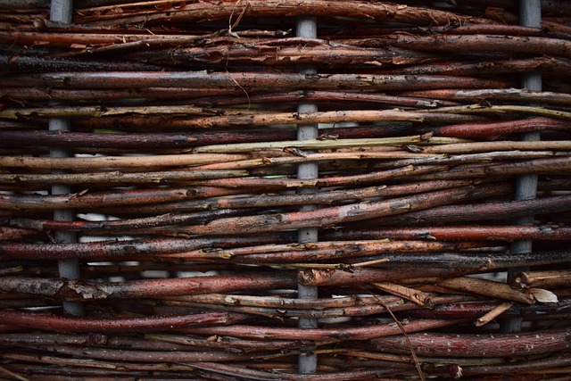 Free Texture Wood photo and picture