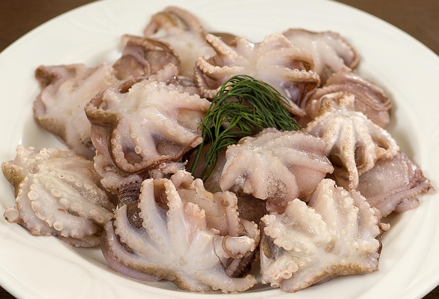 Free Food Octopus Frozen photo and picture