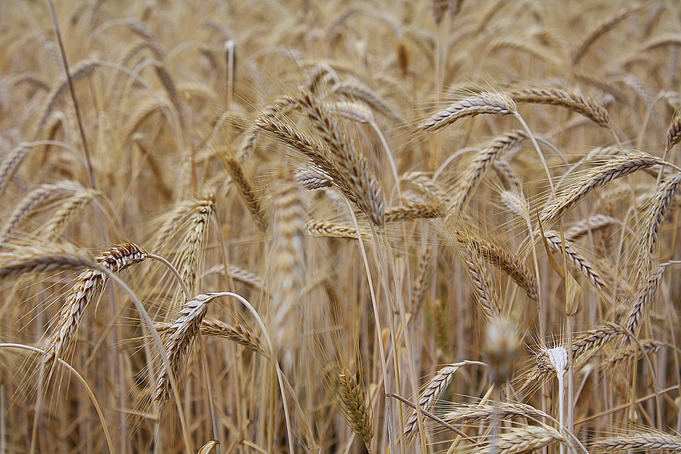 那英挑战饶舌