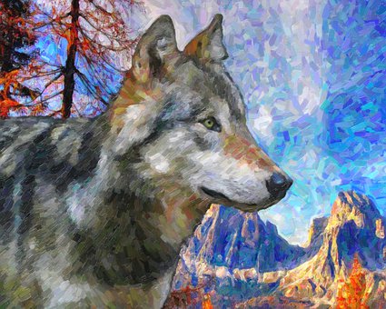 Free Wolf Nature illustration and picture