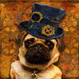 Free Dog Animal photo and picture