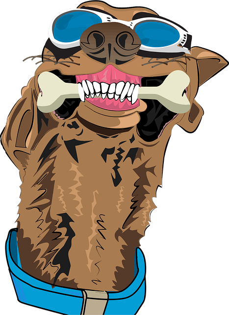 Free Animal Dogs vector and picture