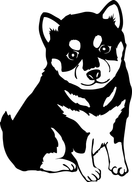 Free Dogs Animal vector and picture