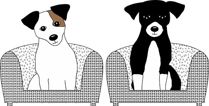 Free Cute Animal vector and picture