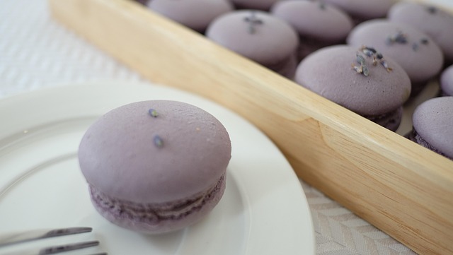 Free Macaroon Violet photo and picture
