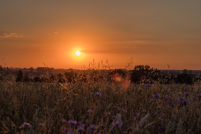 Free Sunset Sun photo and picture