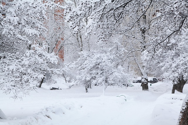 Free Russian Winter White Snow photo and picture