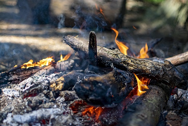 Free Fire Camping photo and picture