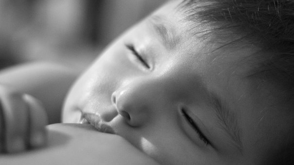 Bebé, Niño, Lactancia, Maternidad