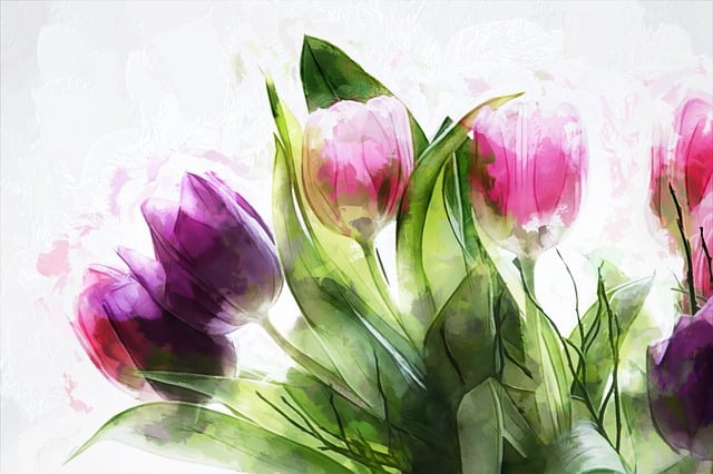 Free tulips signs of spring abstract illustration