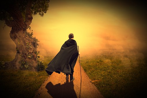 Homem, Mulher, Humano, Caminho, Árvore