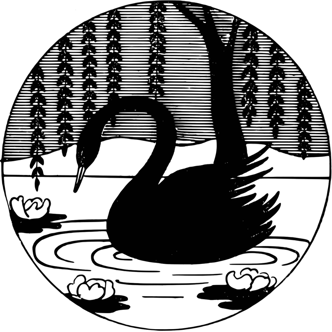 20.000+ kostenlose Vintage Swan und Natur-Bilder - Pixabay