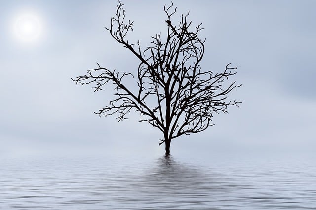 Free time peaceful nature illustration