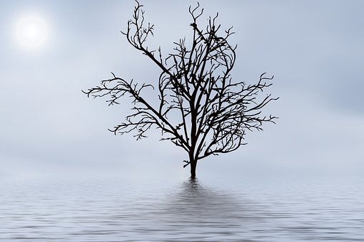 gmbh mantel kaufen wikipedia gesellschaft kaufen kosten Firmenmantel gmbh kaufen vertrag laufende gmbh kaufen