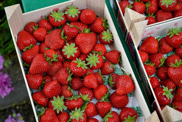 Free Strawberries Fruit photo and picture