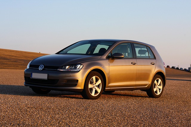Free Vw Golf photo and picture