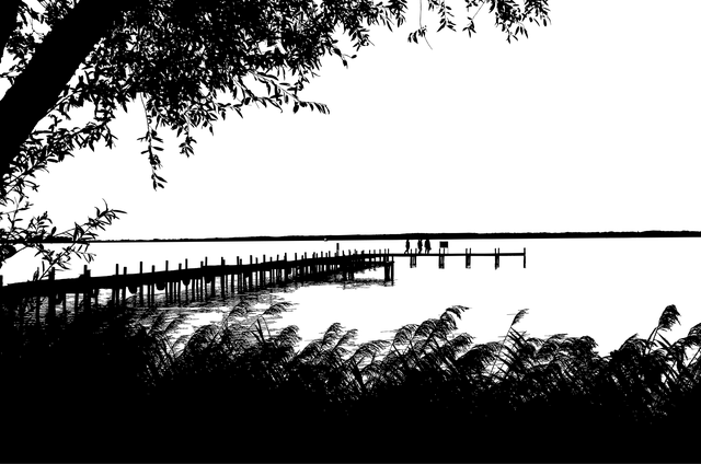 Free steinhude germany silhouette illustration