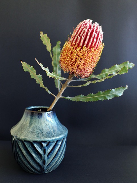 Free Native Flower photo and picture