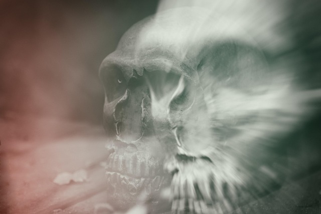 Tête De Mort Double Exposition - Photo gratuite sur Pixabay - Pixabay