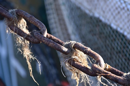 Keten, Licht, Tang, Zee, Boot, Natuur