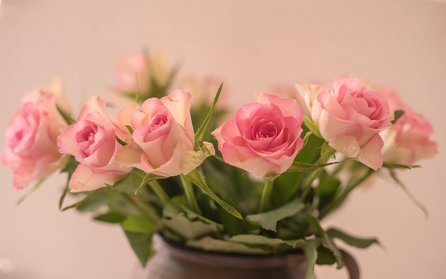 Romantisch, Blüte, Blumen Hintergrund