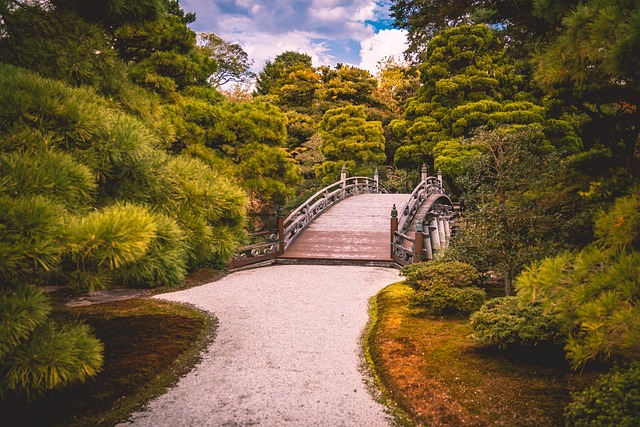 Puente, Naturaleza, Jardines, Kioto