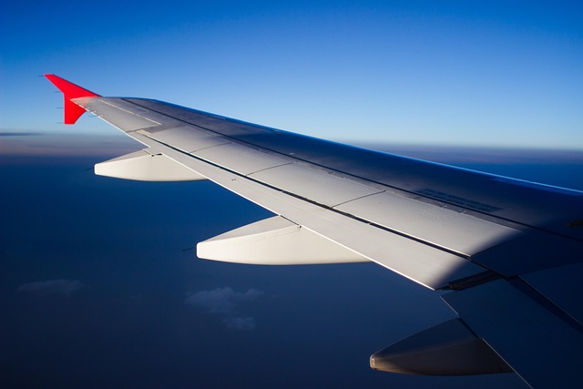 Fly, Vinge, Himmel, Flyvningen, Flyvende