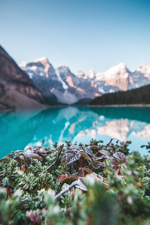 Banff, Alberta, Canadá, Paisaje, Lago, El Agua
