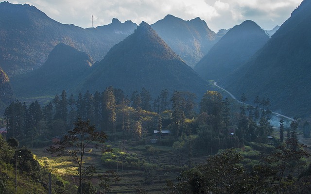 vietnam, asia, nature, mountains, hill, tree, light, forest, sunset, sunlight, sun, romantic, travel, sky, northern, green, landscape