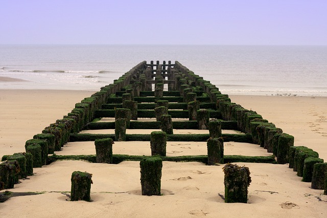 Free Beach Breakwater photo and picture
