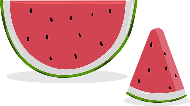 Free Watermelon Fruit vector and picture