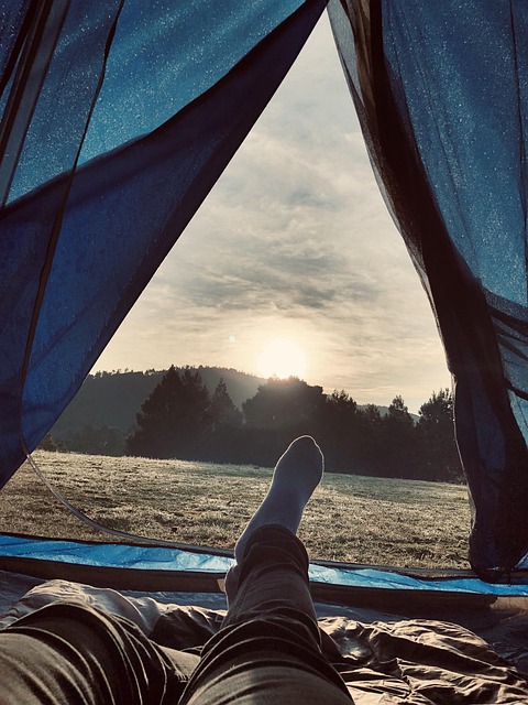 camping, summer, dawn, nature, holiday, adventure