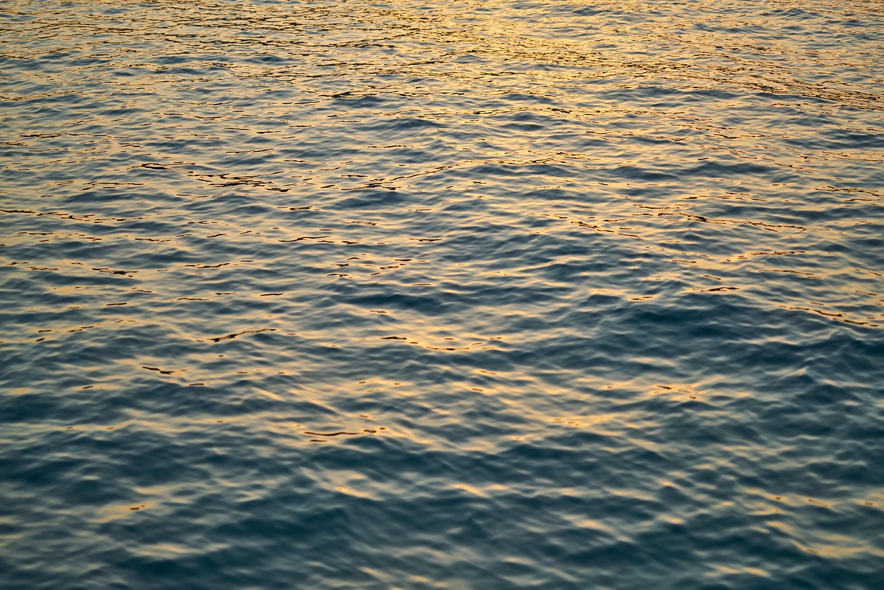 Wave - free online jigsaw puzzle photo