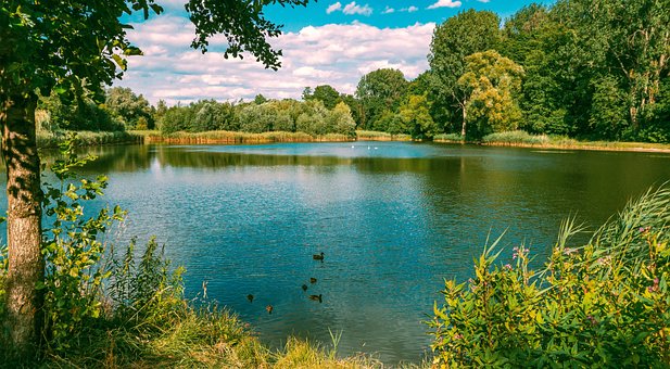 Парк, Вид, Пейзаж, Природа, Летом, Вода