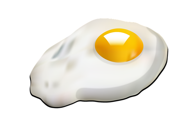 Free fried egg egg fried illustration