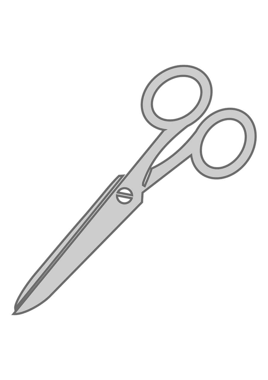Download Hair Clip, Hair Accessories, Fashion. RoyaltyFree Stock