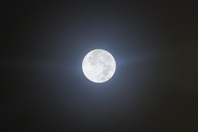 Free Moon Night photo and picture