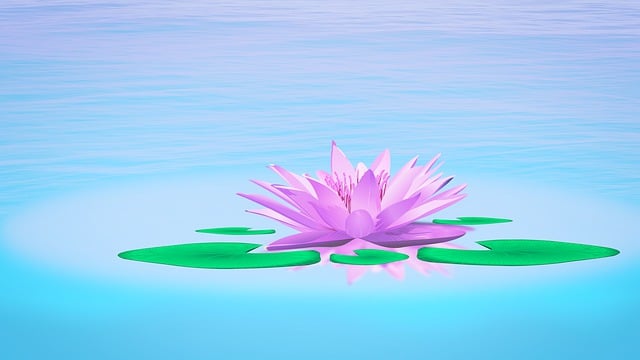 Free water lily lake pond illustration