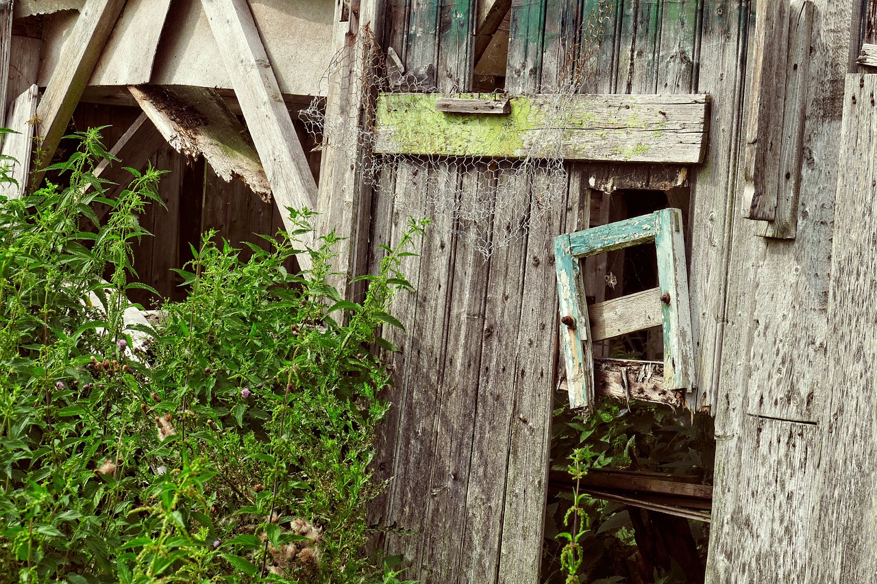 Expired - free online jigsaw puzzle photo