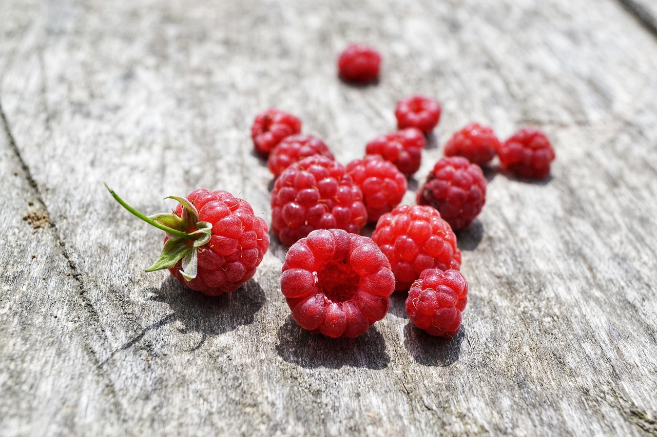 Raspberry Pink Wood Free photo on Pixabay Pixabay