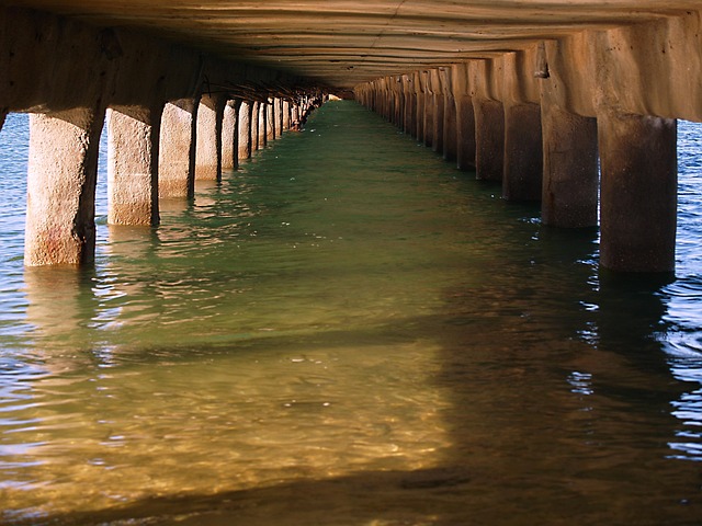 Free Bridge Water photo and picture
