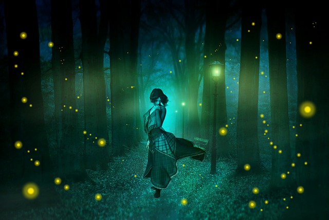 Free Night Fireflies photo and picture