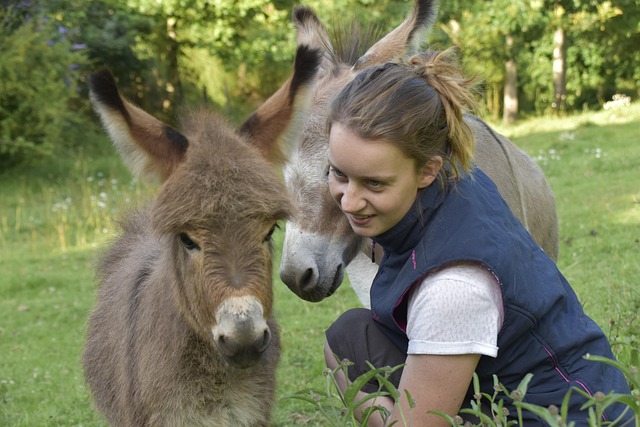 Free Girl Donkey photo and picture