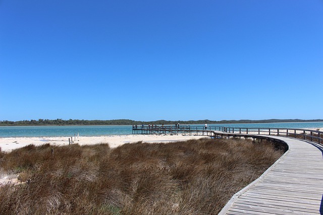 Free Lake Clifton Thrombolites photo and picture