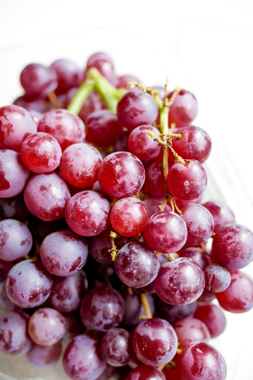 Bunch Of Grapes Fruit Free photo on Pixabay Pixabay