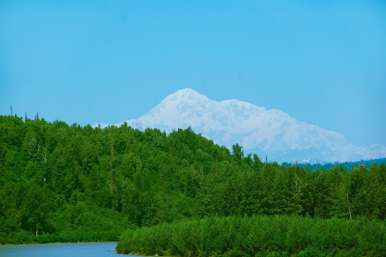 80+ Free Denali & Alaska Images Pixabay