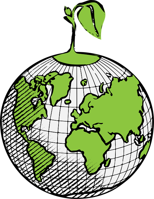 Free globe earth world illustration