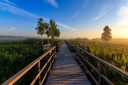 Free Nature Conservation Pier photo and picture
